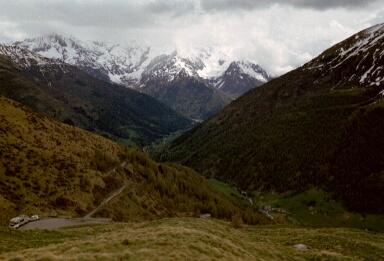 Gavia net na bos op 1000 meter hoogte