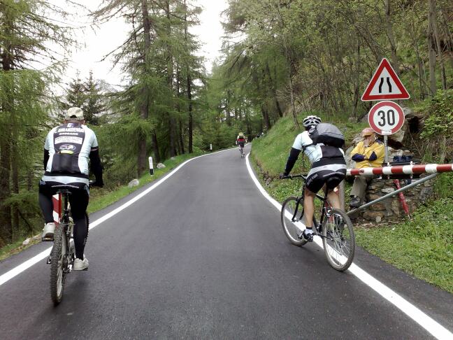 bord wegversmaling 16 procent in bos