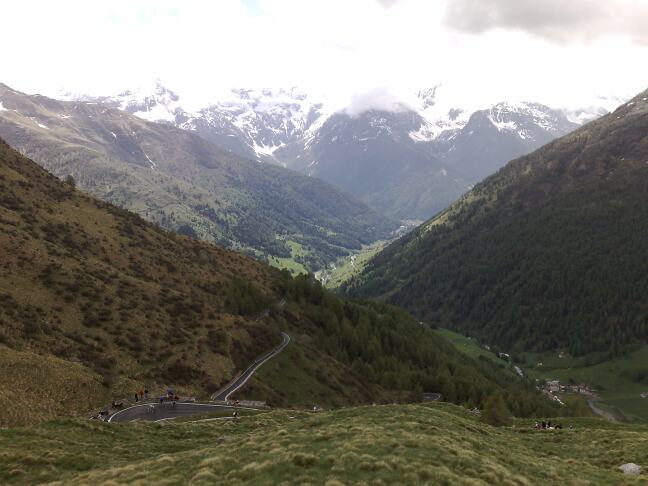 gavia einde bos 2008